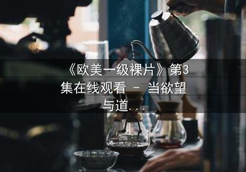 《欧美一级裸片》第3集在线观看 - 当欲望与道德在暗夜中激烈碰撞