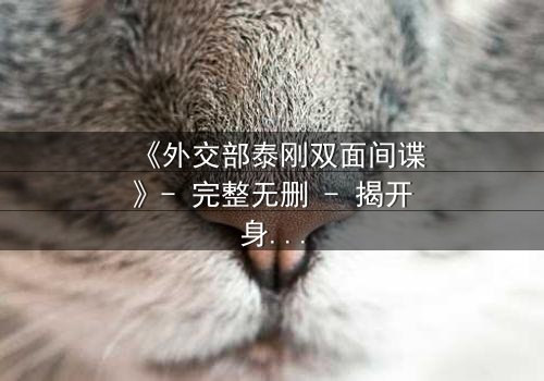《外交部泰刚双面间谍》- 完整无删 - 揭开身份迷雾,谁在暗中操控?